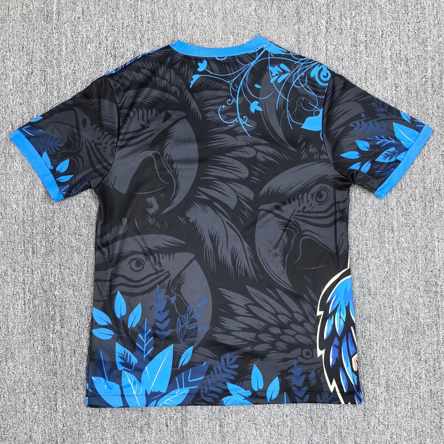 Maillot Brésil Concept 2025-2026